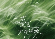 春天，向深处去——武汉SKP联合頌艺术中心推出《蔓发：大地颂歌》